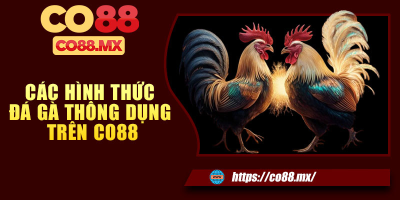 Các hình thức đá gà thông dụng trên CO88
