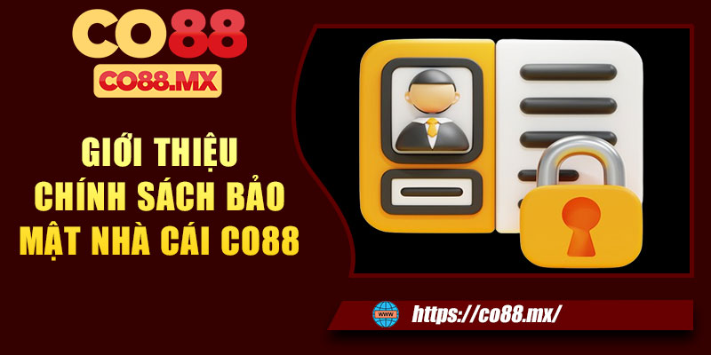Giới thiệu chính sách bảo mật nhà cái CO88