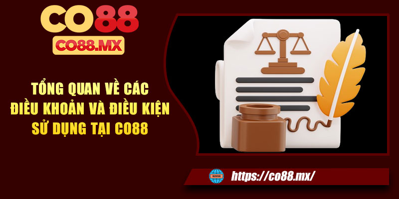 Tổng quan về các điều khoản và điều kiện sử dụng tại CO88